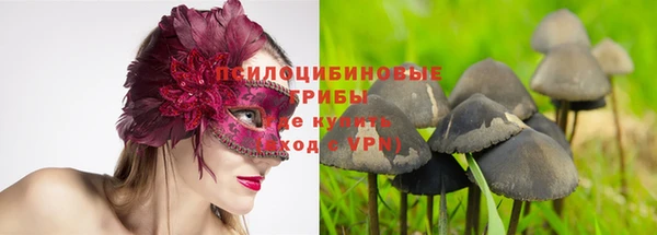 соль курить ск Алзамай