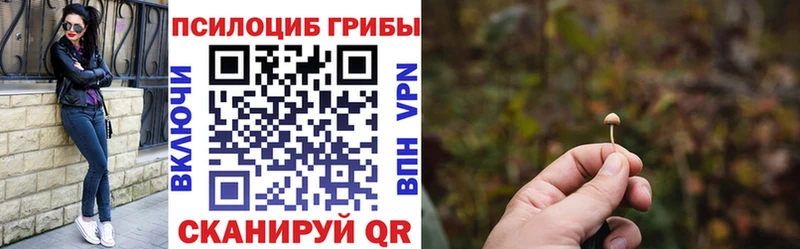 darknet официальный сайт Ликино-Дулёво Псилоцибиновые грибы MAGIC MUSHROOMS